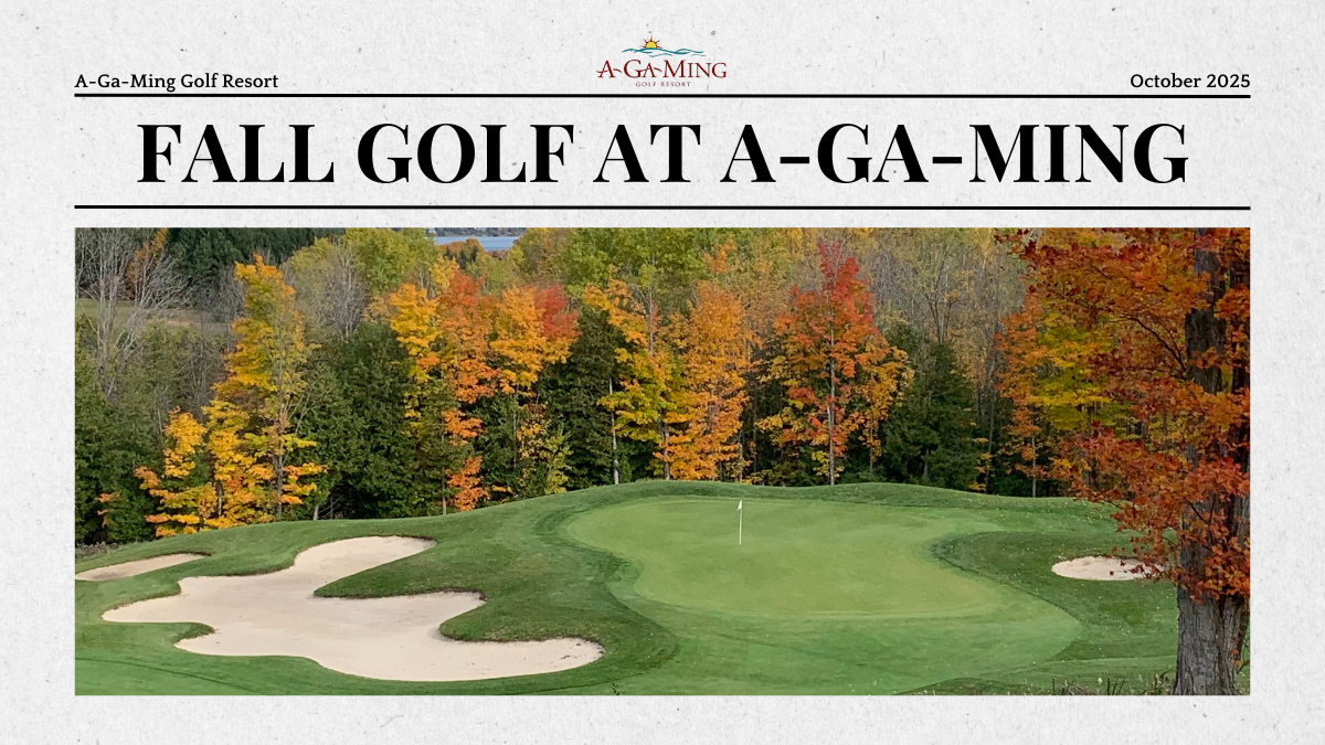 Featured Article in Golf one media