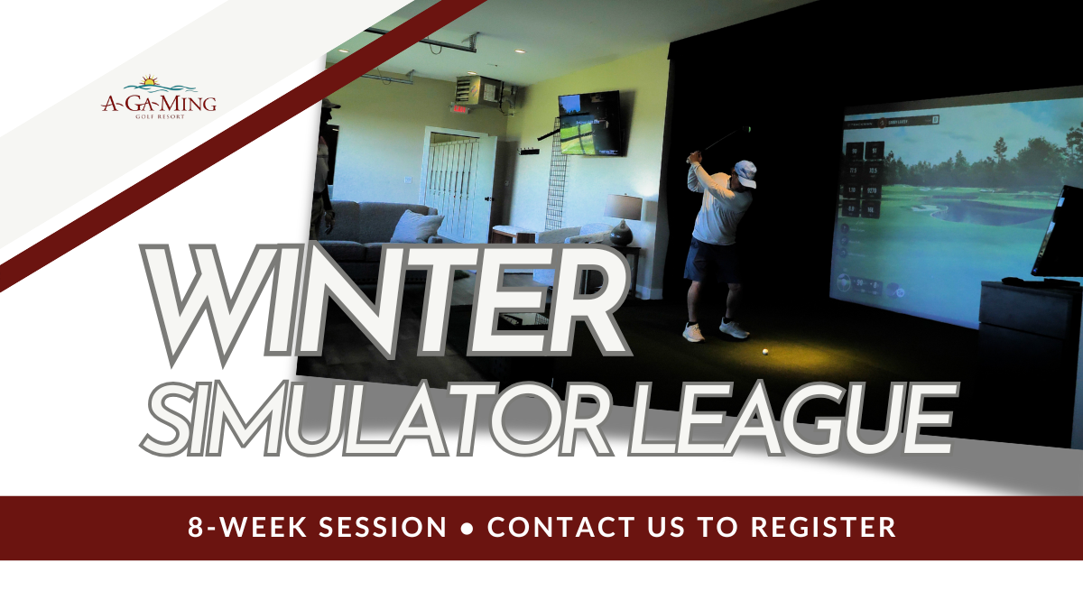 2026 Winter Simulator League